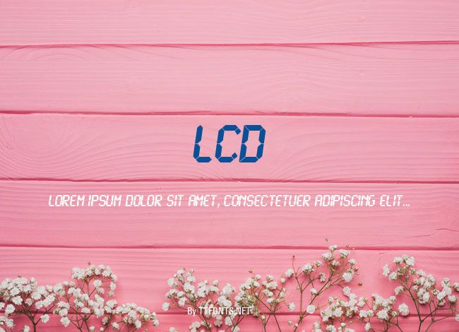 LCD example