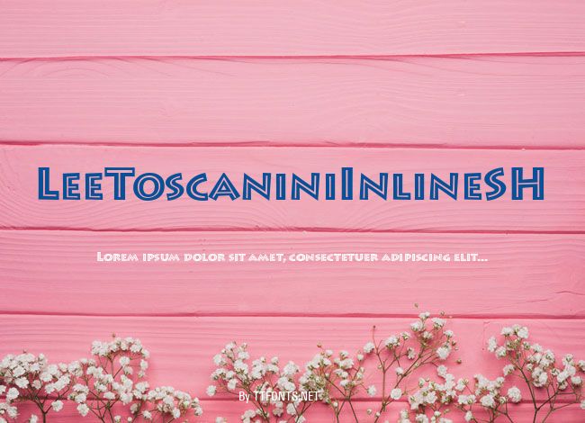 LeeToscaniniInlineSH example