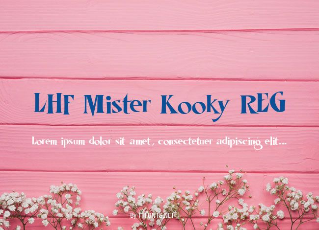 LHF Mister Kooky REG example