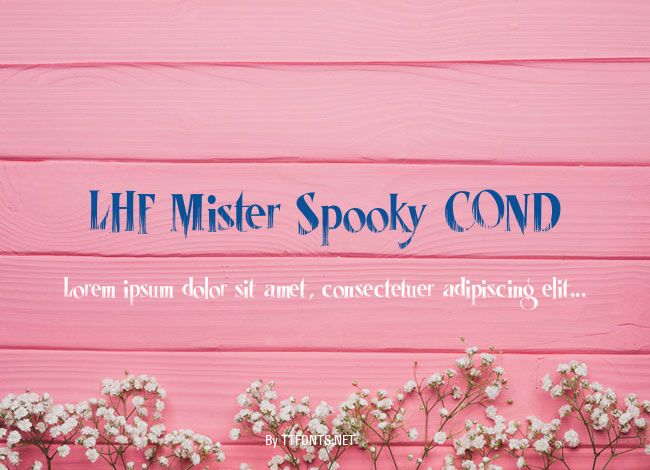LHF Mister Spooky COND example