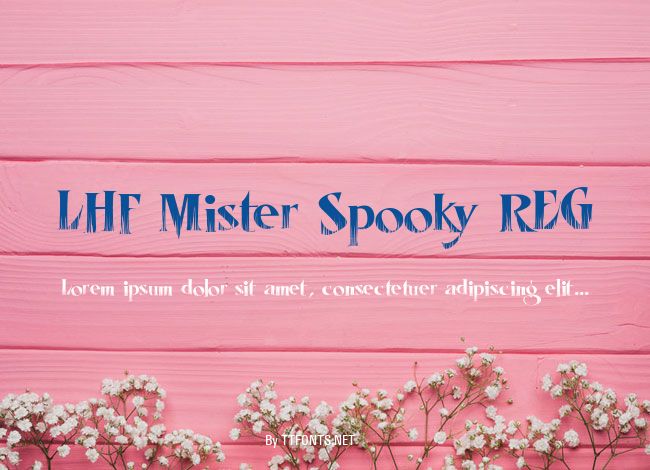 LHF Mister Spooky REG example