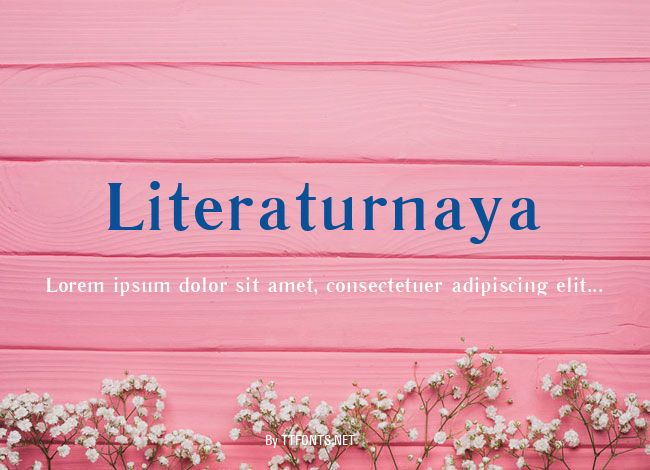 Literaturnaya example