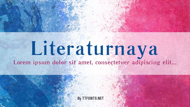Literaturnaya example