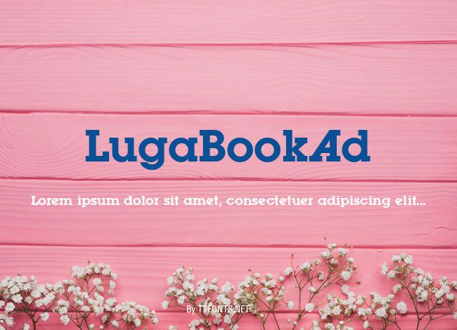 LugaBookAd example