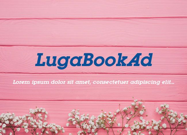 LugaBookAd example