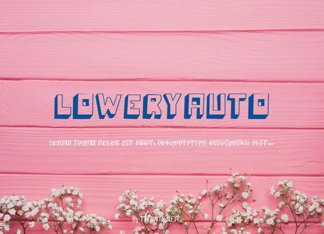 LoweryAuto example