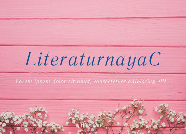 LiteraturnayaC example