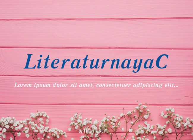 LiteraturnayaC example