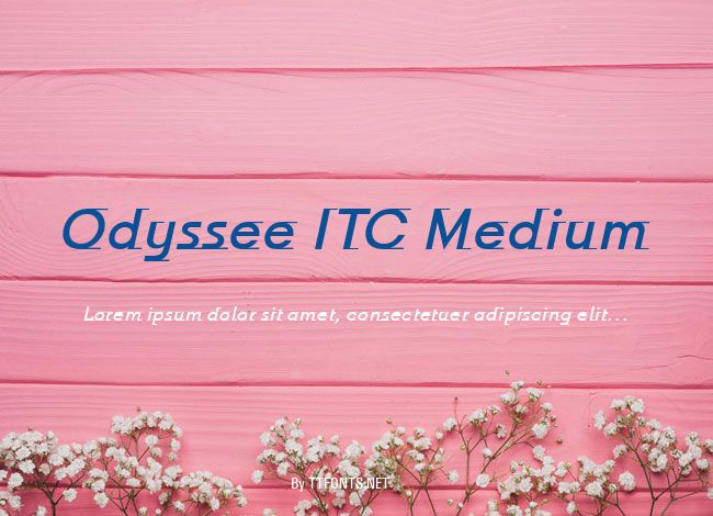 Odyssee ITC Medium example