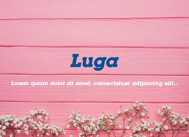Luga example
