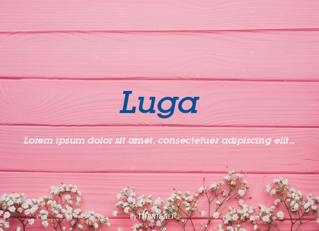 Luga example