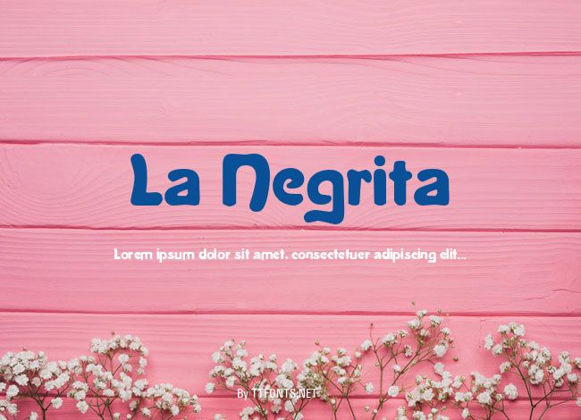La Negrita example