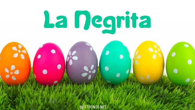 La Negrita example