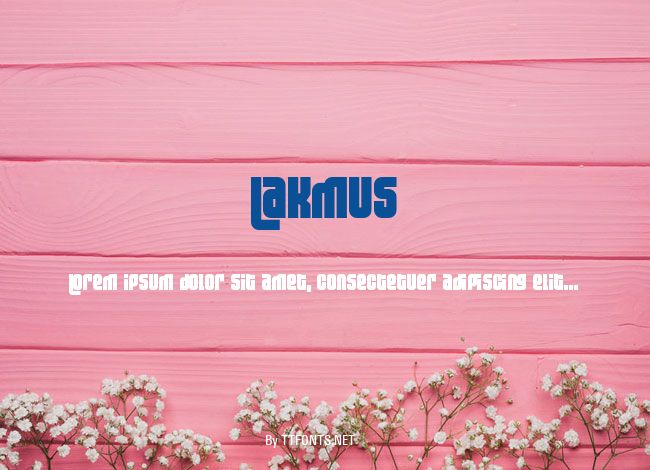 Lakmus example