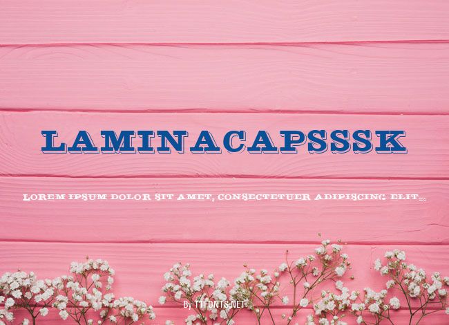 LaminaCapsSSK example