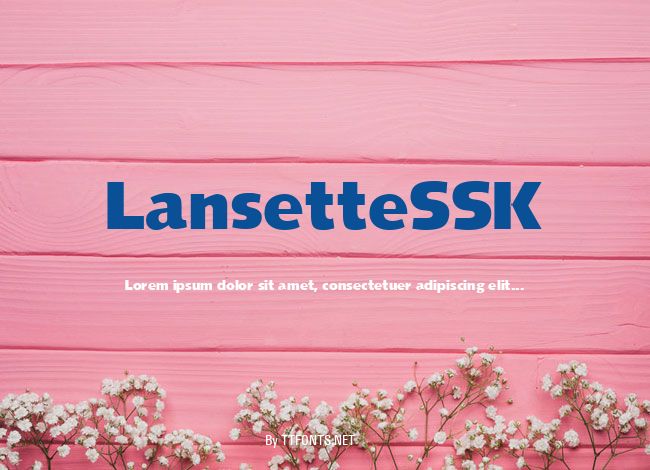 LansetteSSK example
