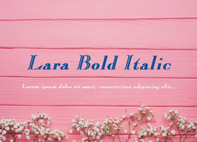 Lara Bold Italic example