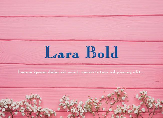 Lara Bold example