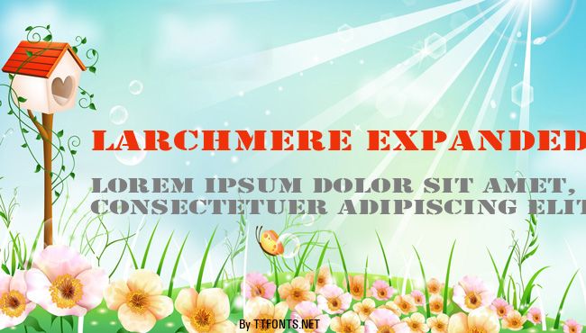 Larchmere Expanded example