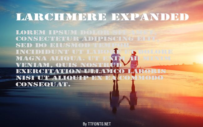 Larchmere Expanded example