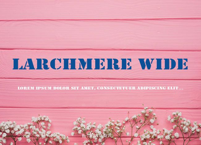 Larchmere Wide example