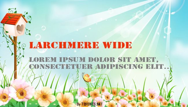 Larchmere Wide example