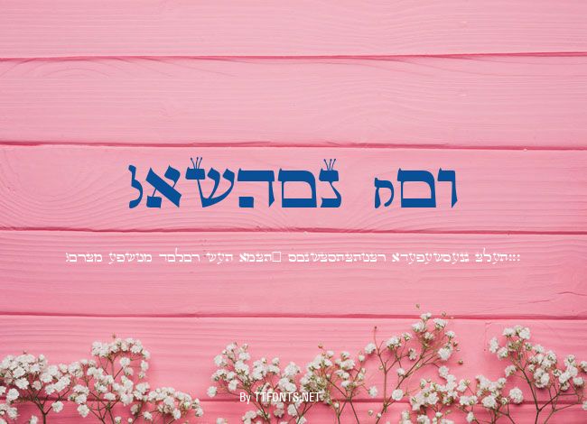 Lashon Tov example