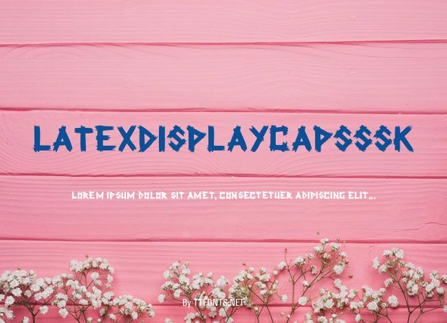 LatexDisplayCapsSSK example