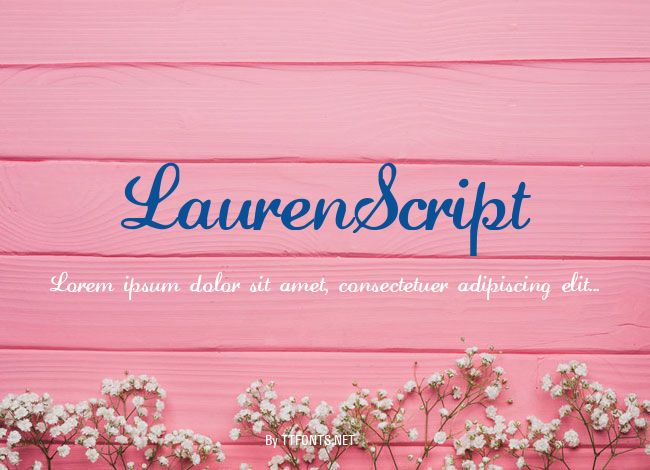 LaurenScript example