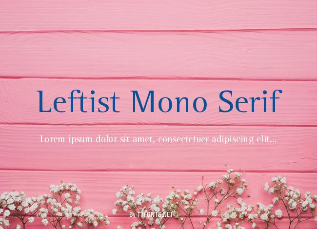 Leftist Mono Serif example
