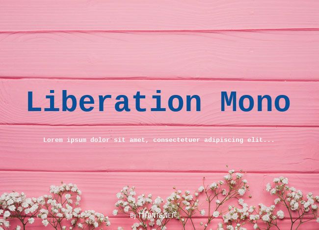 Liberation Mono example