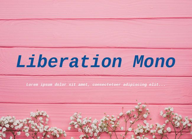 Liberation Mono example