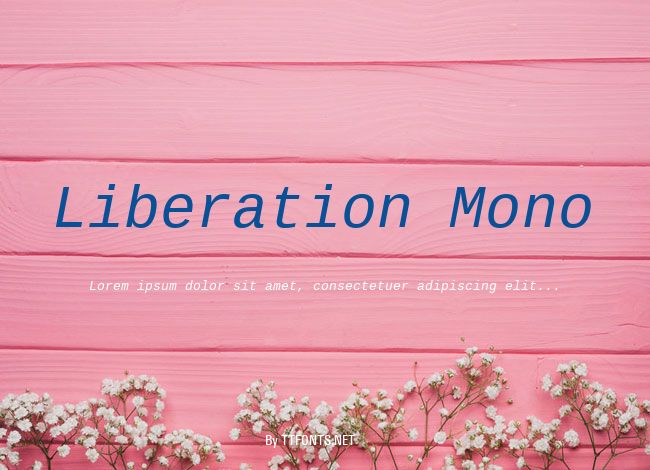 Liberation Mono example