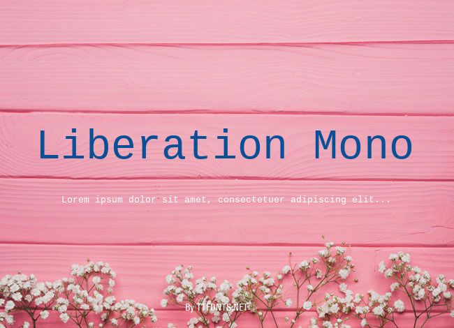 Liberation Mono example
