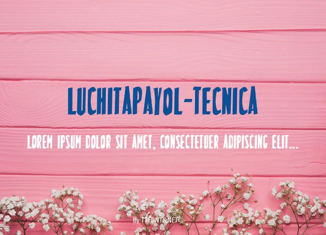 LuchitaPayol-Tecnica example