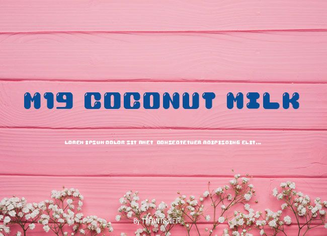 M19_COCONUT MILK example