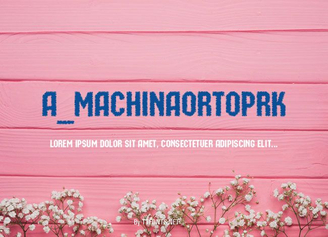 a_MachinaOrtoPrk example