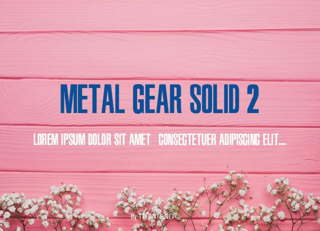 Metal Gear Solid 2 example