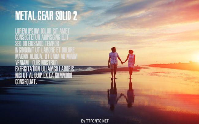 Metal Gear Solid 2 example