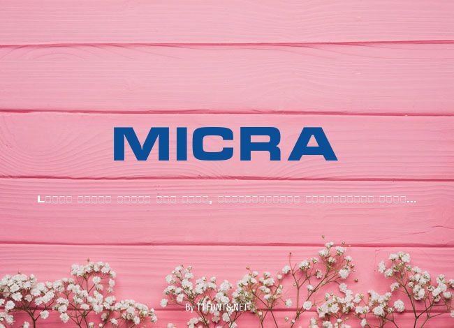 MICRA example