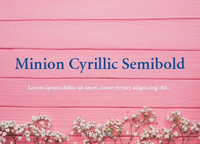 Minion Cyrillic Semibold example