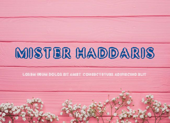 Mister Haddaris example