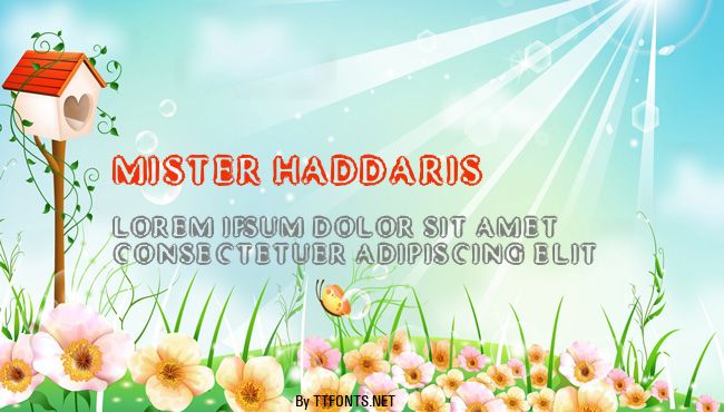 Mister Haddaris example