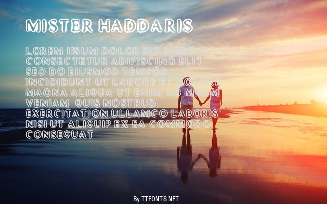 Mister Haddaris example
