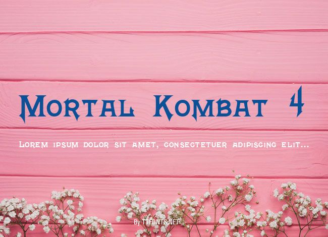 Mortal Kombat 4 example