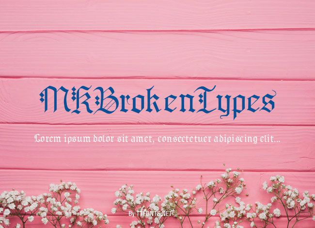 MKBrokenTypes example