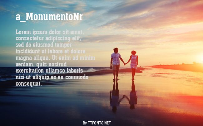 a_MonumentoNr example