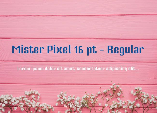Mister Pixel 16 pt - Regular example