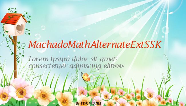 MachadoMathAlternateExtSSK example