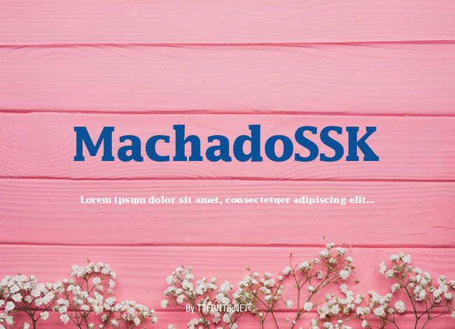 MachadoSSK example
